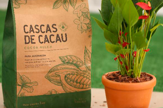Chocolate com energia limpa e Lixo Zero