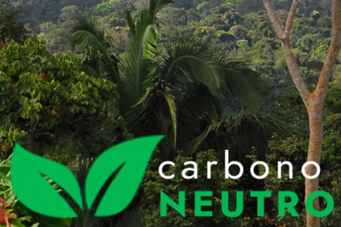 Empresa carbono Neutro - Nugali Chocolates