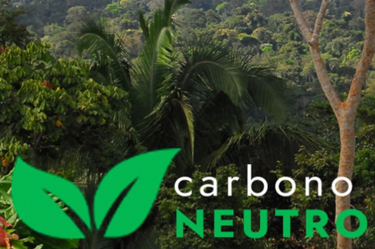 Empresa carbono Neutro - Nugali Chocolates