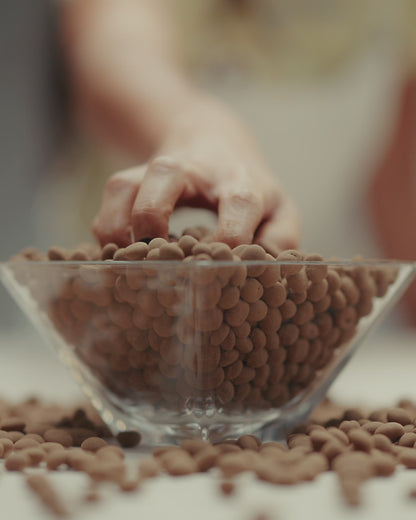 Dragée de nibs de cacau coberto com chocolate ao leite, premiado, feito com ingredientes selecionados de alta qualidade, ideal para quem aprecia chocolates gourmet.